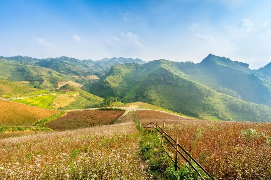 Best Time to Do Ha Giang Loop (Month-by-Month Guide)